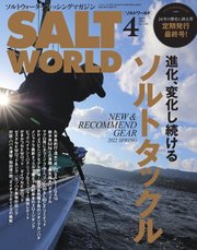 SALT WORLD(ソルトワールド)