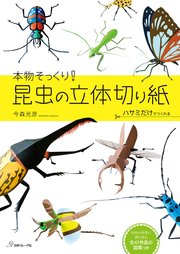 本物そっくり！ 昆虫の立体切り紙