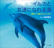 イルカと友達になれる海 ～大西洋バハマ国のドルフィン・サイト～（小学館の図鑑NEOの科学絵本）