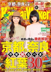 KansaiWalker関西ウォーカー 2016 No.22