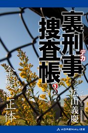 裏刑事捜査帳（3） 金髪（ブロンド）の正体