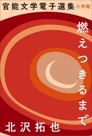 官能文学電子選集 北沢拓也『燃えつきるまで』