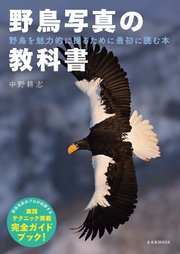 野鳥写真の教科書