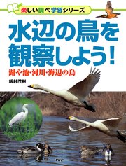 水辺の鳥を観察しよう！