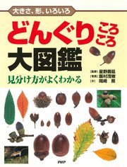 大きさ、形、いろいろ どんぐりころころ大図鑑