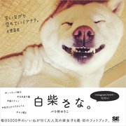 白柴さな。