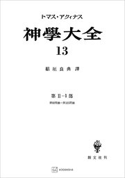 神学大全13 第II－1部 第90問題～第105問題