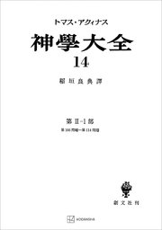 神学大全14 第II－1部 第106問題～第114問題