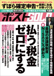 週刊ポストGOLD 払う税金限りなくゼロにする