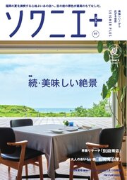 ソワニエプラス 38巻