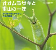 オオムラサキと里山の一年 ～夏の雑木林にかがやく、日本の国蝶～（小学館の図鑑NEOの科学絵本）