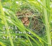 草はらをのぞいてみればカヤネズミ ～日本でいちばん小さなネズミの物語～（小学館の図鑑NEOの科学絵本）