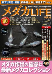 メダカLIFE vol.4