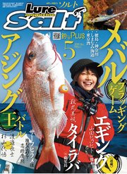 ルアーマガジンソルト2018年5月号