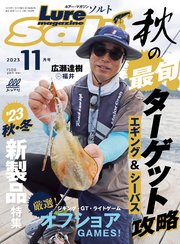 ルアーマガジンソルト