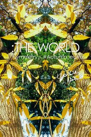 ：THE WORLD - 「symmetry」#Autumn leaves