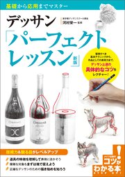デッサン パーフェクトレッスン 新版 基礎から応用までマスター