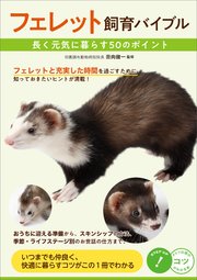 フェレット飼育バイブル 長く元気に暮らす 50のポイント