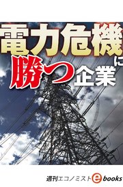 電力危機に勝つ企業（週刊エコノミストebooks）