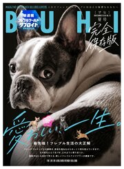 BUHI 2026年夏号