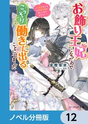 お飾り王妃になったので、こっそり働きに出ることにしました【ノベル分冊版】 12