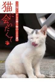 猫に会いたくて ペロ猫たちからの贈り物【100選】