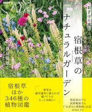 NHK趣味の園芸 おぎはら流 がんばらなくても幸せな庭 宿根草のナチュラルガーデン