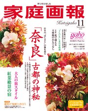 家庭画報 152巻