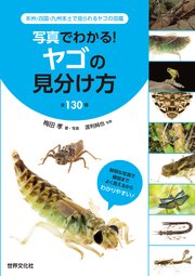 写真でわかる！ ヤゴの見分け方 全130種 本州・四国・九州本土で見られるヤゴの図鑑