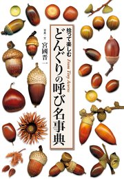 どんぐりの呼び名事典 拾って楽しむ