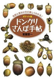 ポケット版 ドングリさんぽ手帖