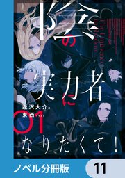 陰の実力者になりたくて！【ノベル分冊版】 11