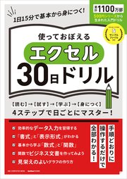 ワン・コンピュータムック 使っておぼえるエクセル30日ドリル