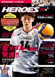 VOLLEYBALL HEROES