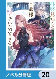 拝啓見知らぬ旦那様、離婚していただきます【ノベル分冊版】 20