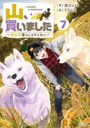 山、買いました