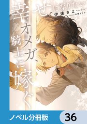 幸せになりたいオメガ、騎士に嫁ぐ【ノベル分冊版】 36