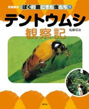 写真絵本 ぼくの庭にきた虫たち1 テントウムシ観察記