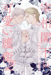 【全7-11セット】宰相閣下の可愛い護衛２【イラスト付】