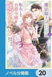 魔法騎士団長様(仮)は転生した公爵令嬢を離さない！【ノベル分冊版】 20