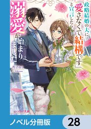 政略結婚の夫に「愛さなくて結構です」と宣言したら溺愛が始まりました【ノベル分冊版】 28