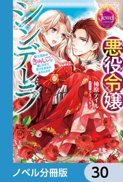 悪役令嬢シンデレラ【ノベル分冊版】 30