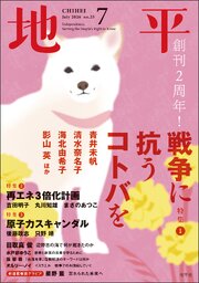 地平 25巻
