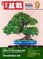 近代盆栽