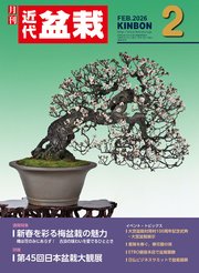 近代盆栽2026年2月号