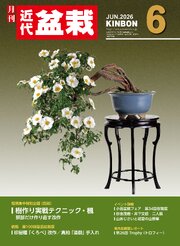 近代盆栽 30巻