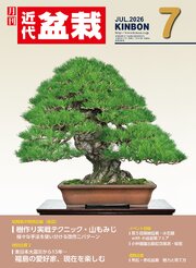 近代盆栽 31巻