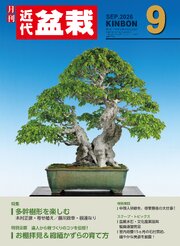 近代盆栽 33巻