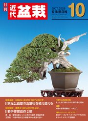 近代盆栽2026年10月号