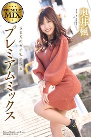 プレミアムミックス 奥井楓 写真集